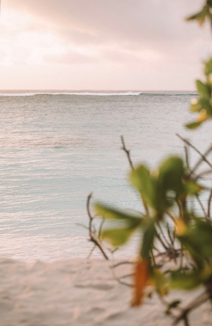 Tranquil beach scene with ocean waves and lush greenery, captured in the Maldives.
