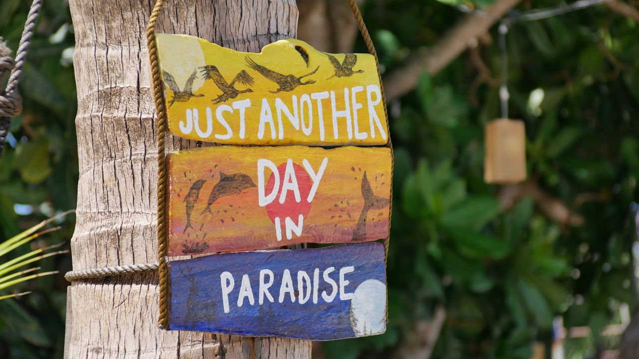 A vibrant wooden sign reading 'Just Another Day in Paradise' hanging on a palm tree.